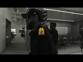 Pattern Inheritance - Risk Takers [Official Video]