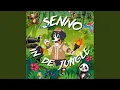 Senno in de Jungle