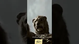 مابالنا نهب التخاصم والحسد الإخوة انشر تؤجر ترند السعودية مواعظ قصيرة محمد ﷺ قران كريم Youtube 