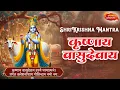 Lagu कृष्णाय वासुदेवाय | Krishnaya Vasudevaya | Krishna Mantra | 108 Times | Bhakti Song | Krishna Bhajan
