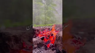 شبا همش به میخونه میرم من 