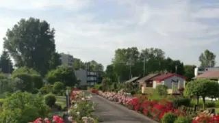 الفنان علي العكاري لا يابن عمي شو بيني وبينك 