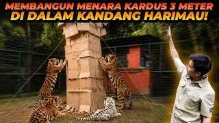MENARA 3 METER DARI KARDUS UNTUK HARIMAU BERHADIAH DAGING! SIAPA YANG PALING BERANI?!