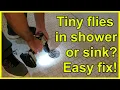 How to get rid of drain flies in shower kitchen or bathroom