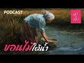 Download Lagu 🔴 เล่านิทาน PODCAST EP.352 | ขอนไม้ใต้น้ำ