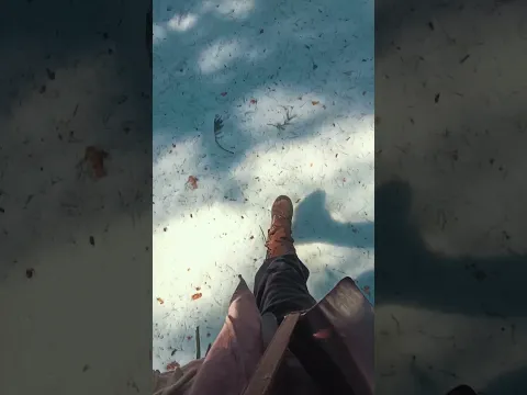 ASMR Montaraz caminando por el bosque 🌲 #fantasia #bosque #naturaleza