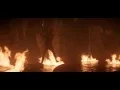 Video di Dragonslayer (1981) - The fight of Galen against the dragon