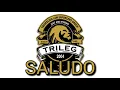 Download Lagu SALUDO (TRILEG) - Djules ft. Mounwa (TRISKELION-LAW-ENFORCEMENT-GROUP SONG) 🔥 (Official lyric video)