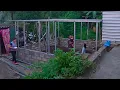 Lagu Día 7 | Construcción de su nueva casa 🏡 Arqui y su familia 👩🏻🦰👱🏻♂️👶🏻