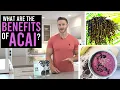 What are the Benefits of Acai The Amazon s Superfruit - Thomas DeLauer