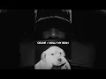 Download Lagu Playboi Carti - Celine/Molly My Bean [guitar cover]