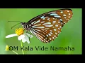 Download Lagu Deva Premal: Kala mantra