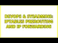 DevOps SysAdmins Iptables prerouting and IP forwarding 2 Solutions
