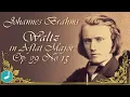 Lagu Johannes Brahms - Waltz in A-flat Major, Op. 39, No. 15