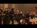 Vivaldi - Concerto for violin, cello, strings in B major, RV 547