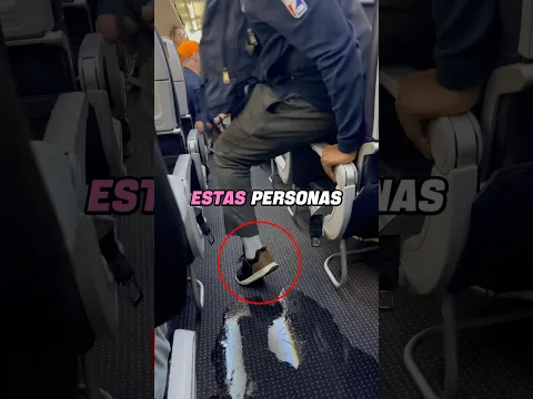 Se estaba inundando como el Titanic en pleno vuelo y nadie sabía por qué 😱✈️