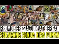 Download Lagu 🔴 BONGKAR SPESIAL JUMAT BERKAH !! PROMO BELI ECER HARGA GROSIR 0838-7553-6945