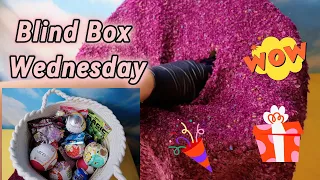 Opening Squishmallows Blind Box Wednesday Unboxing Toys ASMR No Talking
