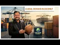 Coconut Export Step-by-Step Export Guide