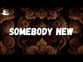 Download Lagu Blusher - Somebody New [MUSIC VIDEO]