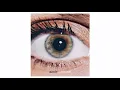 Amir - Rétine (Audio Officiel)