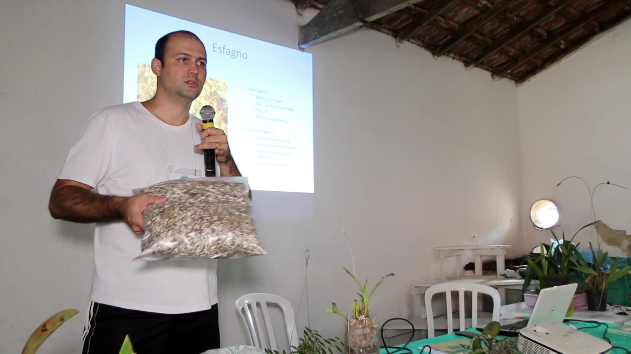 SUBSTRATO PARA ORQUÍDEAS, VEM PRA AULA COM O NOCB