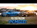 PCMTEC FOR FORD FALCON GHOST CAMS