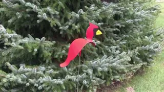 Florida Dancing Birds Cardinal Garden Art