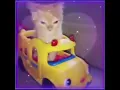 Download Lagu Cats - The Living Tombstone (Goofy cat EDIT)