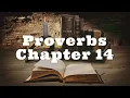 The Book of Proverbs Chapter 14 - New King James Version NKJV