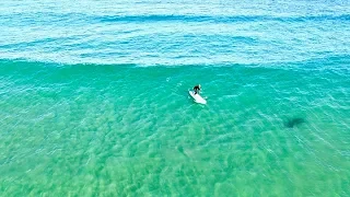 Surfing With MANATEE!!!
