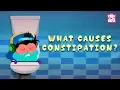 Download Lagu What Causes Constipation? - The Dr. Binocs Show | Best Learning Videos For Kids | Peekaboo Kidz