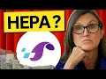 HEPA Stock NEWS WEDNESDAY quick alert Hepion Pharmaceuticals stock analysis best broker review