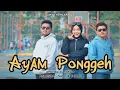 Download Lagu Dendang Minang Terbaru 2026 ~ AYAM PONGGEH ~Afdhal Caniago~Andesba~ Nadine Thare 