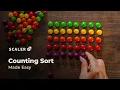 Counting Sort Algorithm Explained with Examples Data Structures and Algorithm Guide