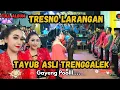 Download Lagu TRESNO LARANGAN FULL ABUM TAYUB RADHITA || LIVE BP. ERWAN NY. ROBI Besuki Panggul Trenggalek || RPRO