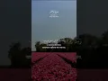 Download Lagu Surah Ibrahim Verse 14 😊 Beautiful Voice Quran Recitation Relaxin #recitation #duet #quran #Ibrahim