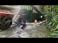 Download Lagu agricultural vehicles transporting timber and harvested trees along streams