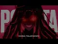 NUEKI, TOLCHONOV - POKOTO (8D)
