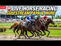 LIVE HORSE RACING Gulfstream Park Horseshoe Indianapolis Thistledown more en vivo
