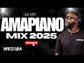 Lagu AMAPIANO MIX 2025 VOL195 | DJ WEBABA