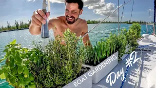 Spearfishing Mission With The Boys (Day #2) Ginn Sur Mer Bahamas