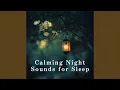 Download Lagu Tranquil Starlit Serenade