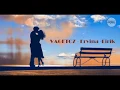 Download Lagu Vagetoz - Ervina - Lirik Video