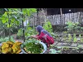 Download Lagu Akhirnya kangkung di kebun sudah bisa di panen, tumis kangkung udang terasi, bakwan sayur 