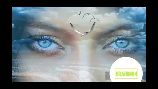 ما لعينيك على الأرض بديل شعر نزار قباني  ما لعينيك على الأرض بديل شعر نزار قباني
