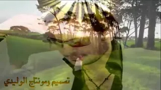 ماجد المهندس     شفتج لا تنكرين دندنها