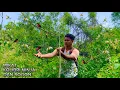 Download Lagu SOLO MIKAT KOLIBRI NINJA DAN SOGON_DAPAT BANYAK!