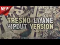 Download Lagu TRESNO LIYANE HIPDUT VERSION ll VIRAL TIKTOK TERBARU ( ITSMERANGGA )