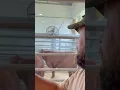 Seeing the Red Heifers in Israel!